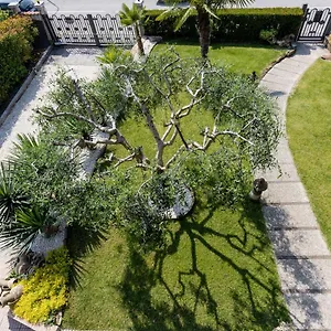 Casa Rosa & Luisa Appartamento